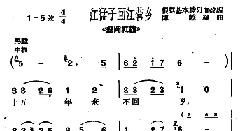 沪剧 江猛子会江营乡《翠冈红旗》选段