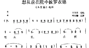 扬剧 想从前在院中披罗衣锦《玉堂春》选段 王万青