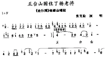 秦腔 五台山困住了杨老将《金沙滩》杨继业唱段 袁克勤