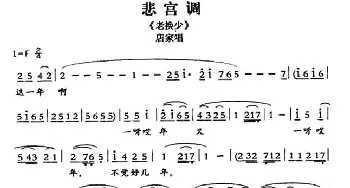 敦煌曲子戏 悲宫调《老换少》店家唱段