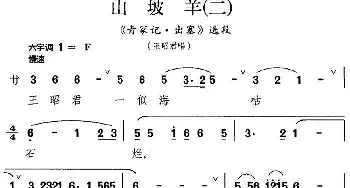 昆曲 山坡羊 二《青家记·出塞》选段 王昭君唱段