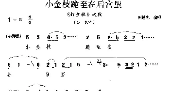 婺剧 小金枝跪至在后宫里《打金枝》选段 金枝唱 周越先