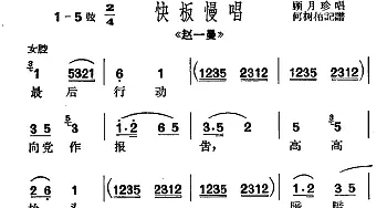 沪剧 最后行动向党作报告《赵一曼》选段 快板慢唱 顾月珍