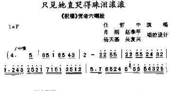 只见她直哭的珠泪滚滚 秦腔 （《祝福》贺老六唱段