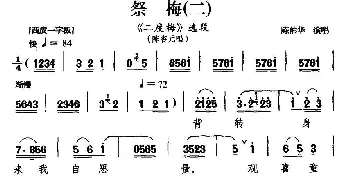 汉剧 祭梅 二《二度梅》陈杏元唱段 陈伯华