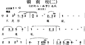 昆曲 锁南枝 二《烂柯山·痴梦》选段 崔氏唱段