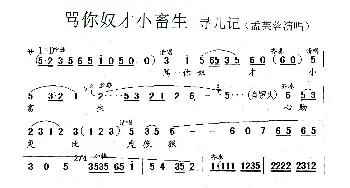 锡剧 骂你奴才小畜生《寻儿记》选段