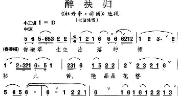 昆曲 醉扶归《牡丹亭·游园》选段 杜丽娘唱段