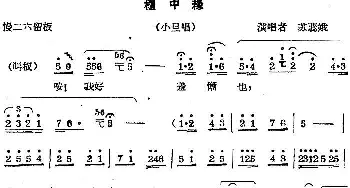 秦腔唱腔选 柜中缘 小旦唱段 苏蕊娥