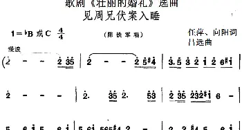 歌剧《壮丽的婚礼》选曲 见周兄伏案入睡  任萍 向阳 吕远