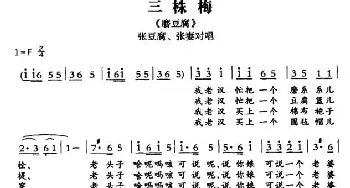 敦煌曲子戏 三株梅《磨豆腐》张豆腐 张妻对唱