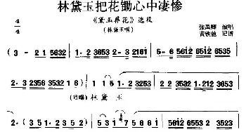 滇剧 林黛玉把花锄心中凄惨《黛玉葬花》林黛玉唱段 张禹卿