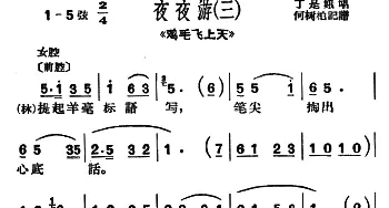 沪剧 提起羊毫标语写《鸡毛飞上天》选段 夜夜游小调 丁是娥