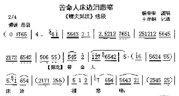 眉户 苦命人床边泪悲啼《鳏夫哭坟》选段 杨荣荣  王俊朝 记谱制谱