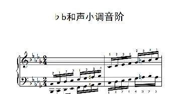 第九级22.♭b和声小调音阶(钢琴谱)