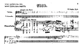 Piano Trio in g Minor Op.8(钢琴谱) 肖邦-chopin