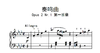 奏鸣曲 Opus 2 Nr.1 第一乐章(钢琴谱) 贝多芬