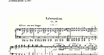 Lebensstürme D.947(钢琴谱)