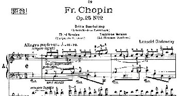 肖邦《练习曲》Fr.Chopin Op.25 No2-3(钢琴谱) Godowsky改编