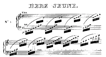 24 Exercices et Preludes Op.21(钢琴谱) 亨利·赫尔茨