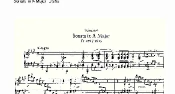 Sonata in A Major D.959(钢琴谱)