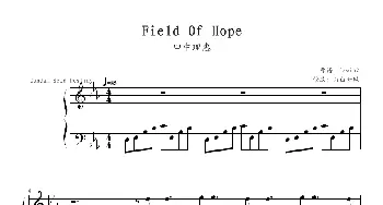 field of hope(钢琴谱) 自由如风 改编