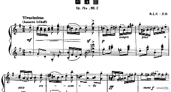 现代钢琴曲 15 幽默曲(钢琴谱) [德]马克斯·里格