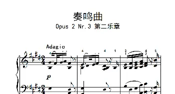 奏鸣曲 Opus 2 Nr.3 第二乐章(钢琴谱) 贝多芬