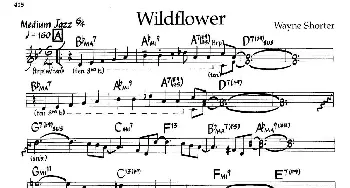 Wildflower(钢琴谱)