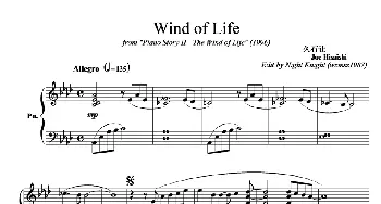 Wind of Life(钢琴谱) 久石让