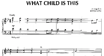 What Child Is This(钢琴谱) [美]大卫·兰兹(David Lanz)