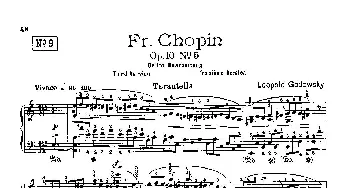 53首以肖邦练习曲为素材而作的练习曲(钢琴谱) 里奥鲍尔德·戈多夫斯基