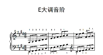 第三级 5.E大调音阶(钢琴谱)