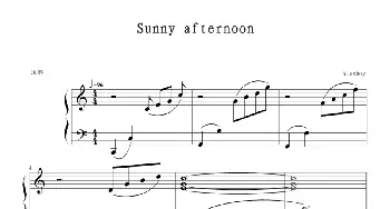 sunny afternoon(钢琴谱) 未知分类