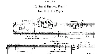 12 Grand Etudes S.137(钢琴谱) 弗兰茨·李斯特