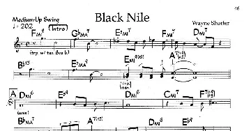 Black Nile(钢琴谱)