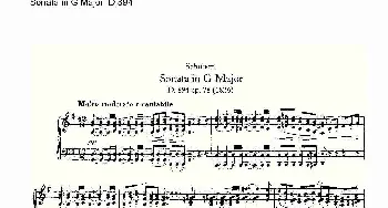 Sonata in G Major D.894(钢琴谱)