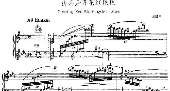 中国钢琴名曲30首 山丹丹开花红艳艳(钢琴谱) 王建中