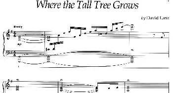 Where The Tall Tree Grows(钢琴谱) [美]大卫·兰兹(David Lanz)