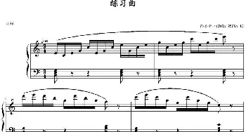 路易斯·柯勒练习曲Op.256 No.13(钢琴谱)