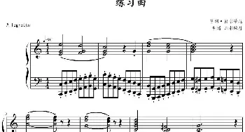 练习曲(钢琴谱) 亨利·贝尔蒂尼作曲 山水眩月制谱