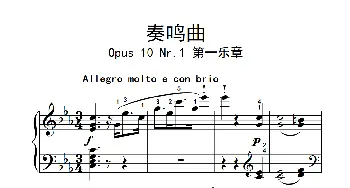 奏鸣曲 Opus 10 Nr.1 第一乐章(钢琴谱) 贝多芬