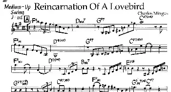 Reincarnation of a Lovebird(钢琴谱)