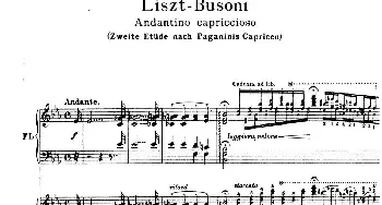 6首帕格尼尼大练习曲(钢琴谱) 弗兰茨·李斯特