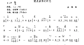 电子琴谱 | 爱是温柔的野光  苏佩