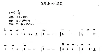 电子琴谱 | 你带来一片温柔