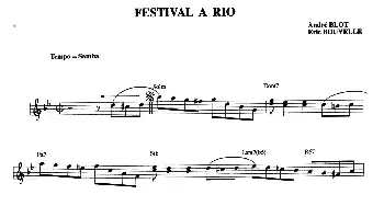 手风琴谱 | FESTIVAL A RIO(里约热内卢的节日)SAMBA