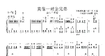 手风琴谱 | 真像一对亲兄弟(手风琴伴奏简谱)李亮