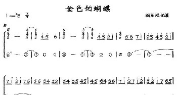 手风琴谱 | 金色的蝴蝶  胡国顺记谱