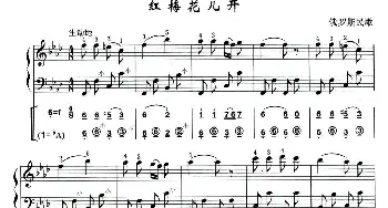 手风琴谱 | 红莓花儿开(俄罗斯民歌)线简谱混排版